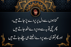 dil-par-parday1