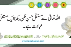 husn-e-zan