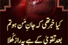 kya-khabar-thee-k-jan-e-man-ho-tum2
